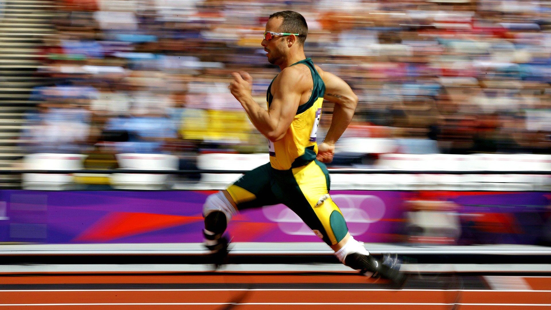 逆转之城，深圳队如何用东方智慧破解勇士风暴，库里虽败犹荣惊艳四座